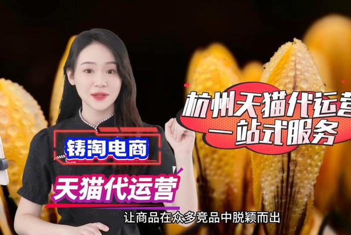 杭州电商平台好做吗、杭州电商平台好做吗知乎 杭州电商平台好做吗、杭州电商平台好做吗知乎