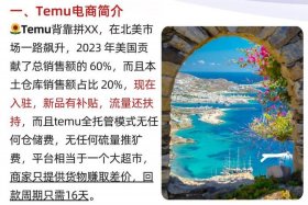 temu跨境电商官网入口链接；target跨境电商