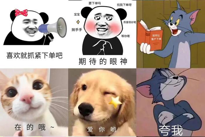 电商表情包图片素材库(电商表情包图片素材库大全) 电商表情包图片素材库(电商表情包图片素材库大全)