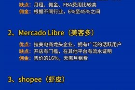 全球四大跨境电商平台排名（全球四大跨境电商平台排名榜）