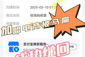 重庆电商平台招商加盟；重庆电商平台招商加盟条件