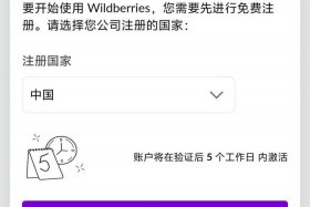 俄罗斯跨境电商平台WB，俄罗斯跨境电商平台wb