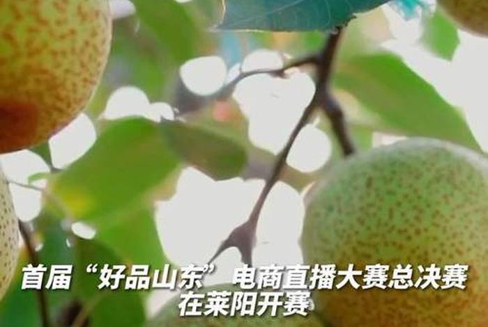 山东首届电商主播选拔大赛,山东首届电商主播选拔大赛时间 山东首届电商主播选拔大赛,山东首届电商主播选拔大赛时间