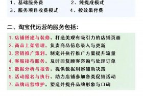 电商店铺代运营是什么（电商店铺代运营是什么工作）