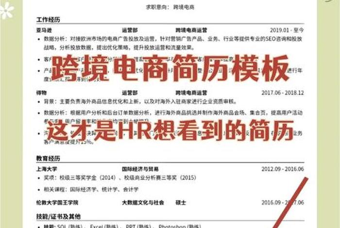 电商跨境运营做到的业绩面试介绍（电商跨境运营做到的业绩面试介绍怎么写）