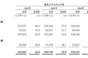 上海凯诘电子商务股份ipo（上海凯诘电子商务有限公司怎么样）