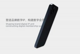 电商 直播平台 数字资产保护 - 电商 直播平台 数字资产保护是什么