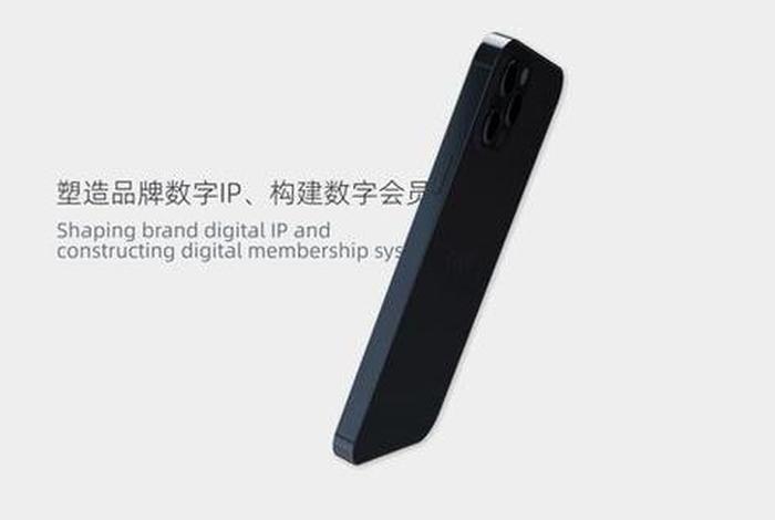 电商 直播平台 数字资产保护 - 电商 直播平台 数字资产保护是什么