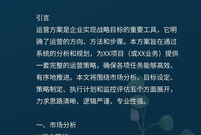 电商方案代写 电商方案代写怎么写