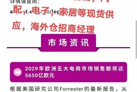 etsy跨境电商平台主要面向的市场；跨境电商平台ebay运营模式包括
