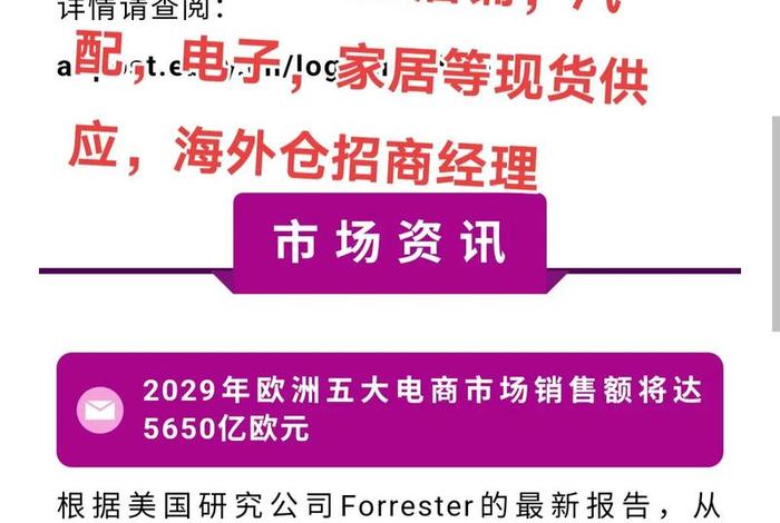 etsy跨境电商平台主要面向的市场;跨境电商平台ebay运营模式包括 etsy跨境电商平台主要面向的市场;跨境电商平台ebay运营模式包括