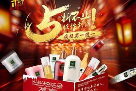 大红电商 大红商贸有限公司