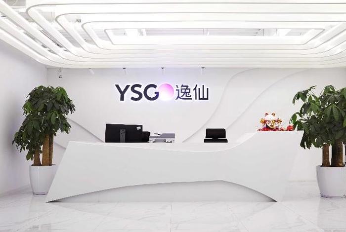 逸仙电商海外销售;逸仙电商海外销售怎么样 逸仙电商海外销售;逸仙电商海外销售怎么样