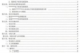 一份完整的电商创业计划书 一份完整的电商创业计划书包括