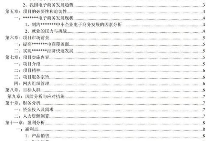 一份完整的电商创业计划书 一份完整的电商创业计划书包括