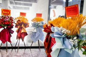 大麦电商是哪里的、大麦电商有限公司怎么样