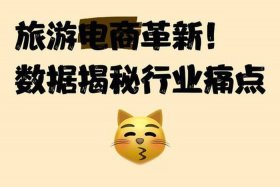 旅游电商是什么（旅游电商是什么工作）