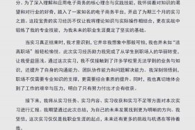 电商实训总结，电商实训总结2000字