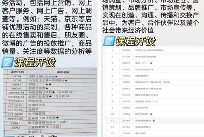 电商平台系统属于专业知识技能吗,电商平台属于什么领域 电商平台系统属于专业知识技能吗,电商平台属于什么领域