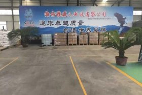 雅琪儿有限公司；雅琪儿有限公司官网