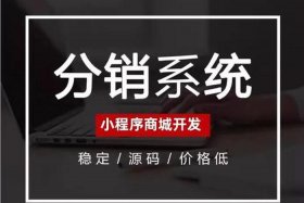 商城系统平台开发；小程序分销平台商城开发系统