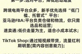 跨境电商教程视频 - 跨境电商新手入门视频教程在线