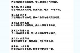 十大电商代运营公司、十大电商代运营公司排行榜出炉