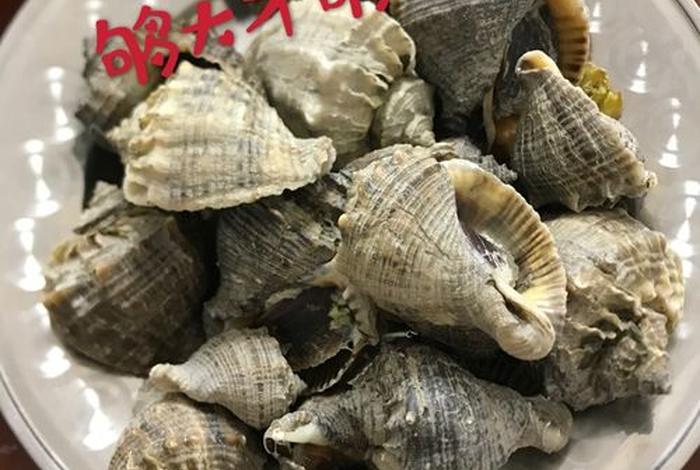 海螺电商平台怎么在电脑上登录;海螺电商平台怎么在电脑上登录不了 海螺电商平台怎么在电脑上登录;海螺电商平台怎么在电脑上登录不了