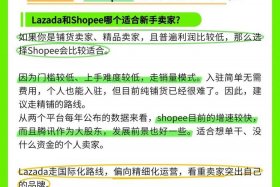 抖音东南亚跨境电商（抖音东南亚跨境电商是真的吗）