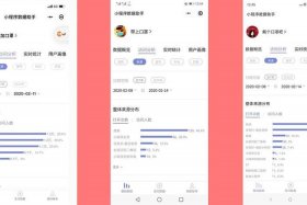 电商运营平台代码 电商运营平台代码是多少