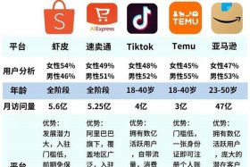 跨境电商收款平台对比、跨境电商收款平台的作用