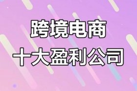 做什么电商生意最赚钱 - 做什么电商生意最赚钱呢