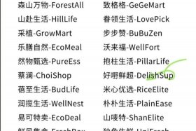 电商公司名字有创意好听 - 电商公司名字有创意好听的有哪些