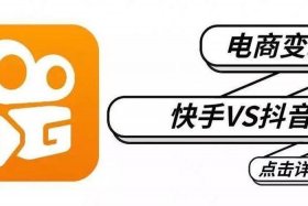 刘某电商，张某在电子商务平台