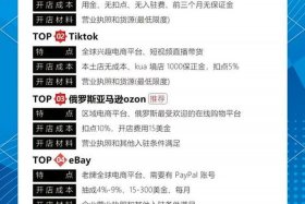 中国跨境电商平台有哪些（中国跨境电商平台有哪些？）