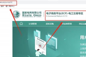 国网电商ecp2.0，国网电商平台采购专区2.0