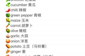 商店英语（蔬菜水果商店英语）