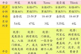 哪个跨境电商平台入门门槛低 - 哪个跨境电商平台入门门槛低一点