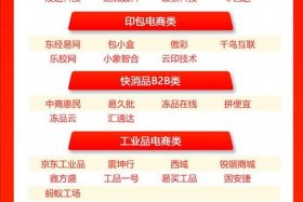 中经商务电商，中经商务电商平台官网