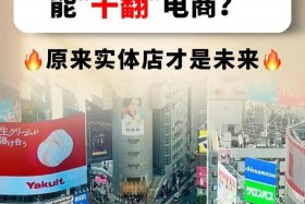 日本电商为什么干不过实体店（日本电商为什么干不过实体店呢）