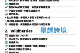 俄罗斯跨境电商有哪些平台；俄罗斯跨境电商有哪些平台可以做