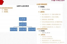 电商团队组织架构 电商团队组织架构图