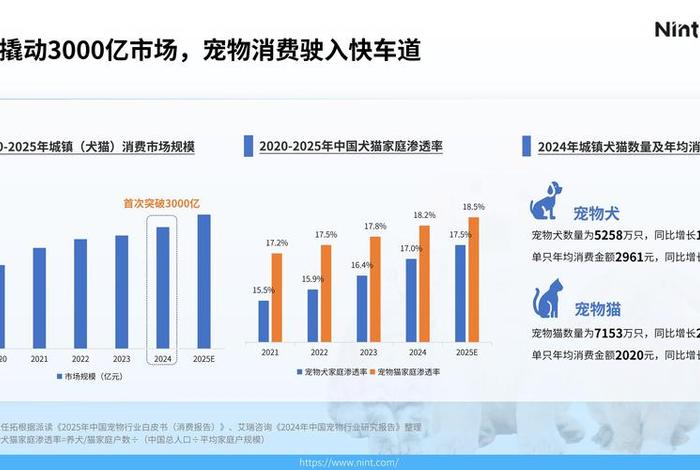 宠物电商平台 - 宠物电商平台商业发展模式 宠物电商平台 - 宠物电商平台商业发展模式