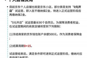 怎么进入京东电商平台（怎么进入京东电商平台工作）