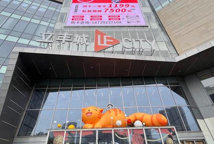 立丰成泽电商 立丰电子科技有限公司 立丰成泽电商 立丰电子科技有限公司