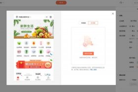 微电商，微电商平台开叿