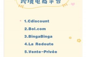 欧洲电商平台热卖商品 - 欧洲电商平台热卖商品有哪些