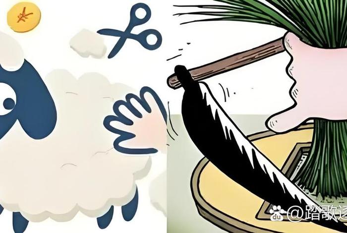 esg跨境电商割韭菜,跨境电商如何割韭菜 esg跨境电商割韭菜,跨境电商如何割韭菜