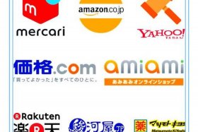 日本电商哪个平台好入驻（日本电商哪个平台好入驻呢）