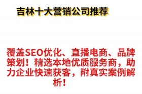 seo辉煌电商平台有哪些 seo辉煌电商平台有哪些品牌
